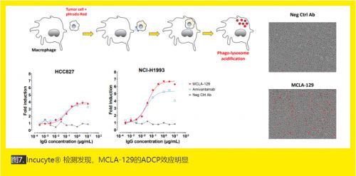 B·sport（中国体育）：Incucyte实时活细胞成像系统在药物临床前研究中的作用(图7)