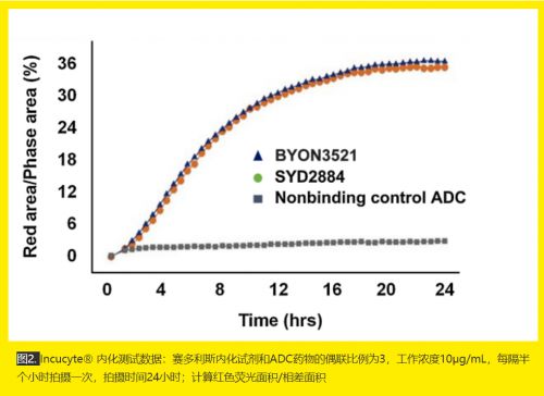 B·sport（中国体育）：Incucyte实时活细胞成像系统在药物临床前研究中的作用(图3)