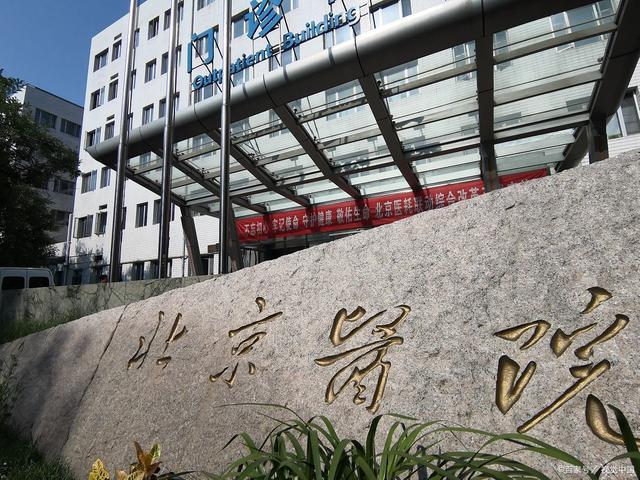 B·sport（中国体育）：临床医学报考指南学不学医必备攻略(图1)