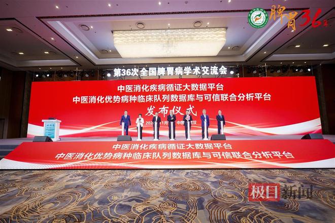 B体育：千余专家大咖齐聚武汉共绘脾胃病中医药诊疗新蓝图(图4)