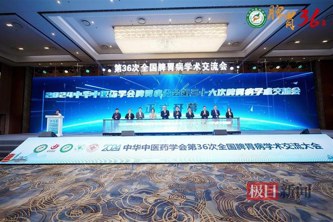 B体育：千余专家大咖齐聚武汉共绘脾胃病中医药诊疗新蓝图(图3)