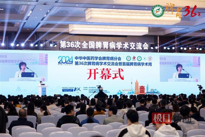 B体育：千余专家大咖齐聚武汉共绘脾胃病中医药诊疗新蓝图(图1)