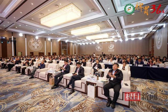 B体育：千余专家大咖齐聚武汉共绘脾胃病中医药诊疗新蓝图(图2)