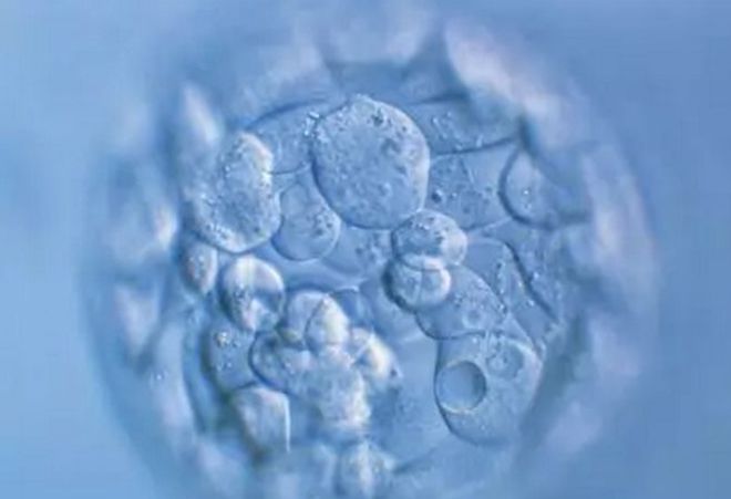 全球首款间充质基质细胞药物英文名都叫“MSCs”它和间充质干细胞有什么不一样？(图3)