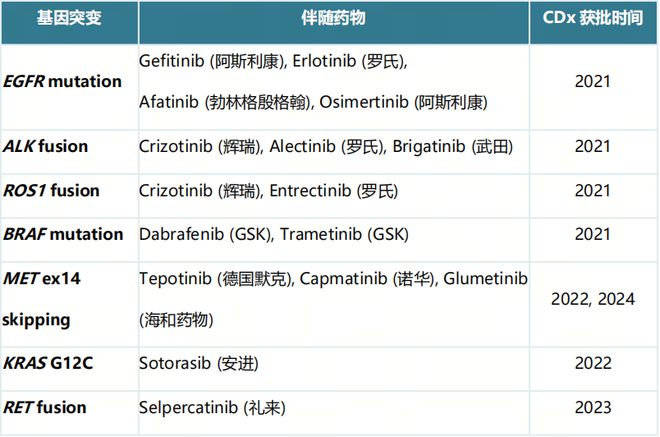 B体育：昨天、今天、明天肿瘤伴随诊断之路走到了哪一天？(图3)