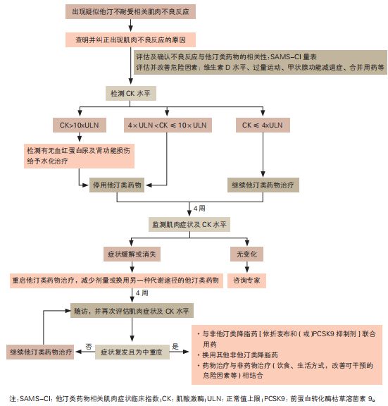 祝烨教授：从《他汀不耐受中国专家共识》谈他汀相关不良反应发生机制及临床处置OCC-WCC2024(图5)
