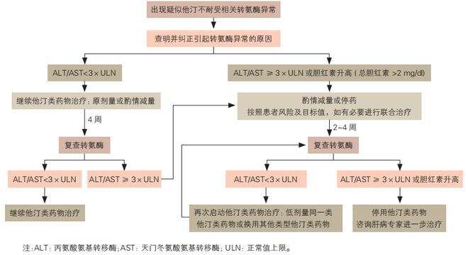 祝烨教授：从《他汀不耐受中国专家共识》谈他汀相关不良反应发生机制及临床处置OCC-WCC2024(图6)
