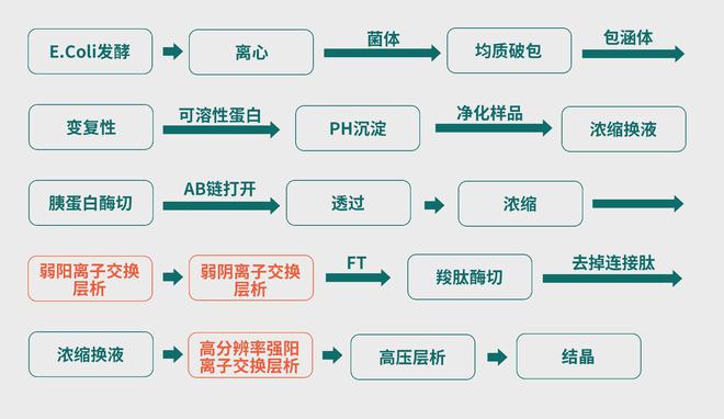 博格隆（Bestchrom）丨色谱纯化技术在胰岛素制备工艺中的应用(图3)