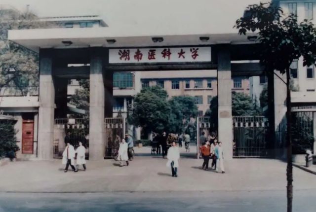 北大医学博士张进生失业近二十年只能回家种地现在靠低保度日(图1)
