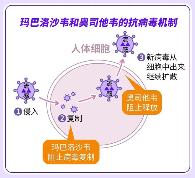 B·sport（中国体育）：不想让孩子在流感季受罪这件事情越早了解越好（不是疫苗(图3)