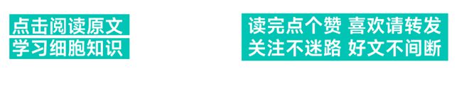 司美格鲁肽神线万诈骗案发生了(图7)