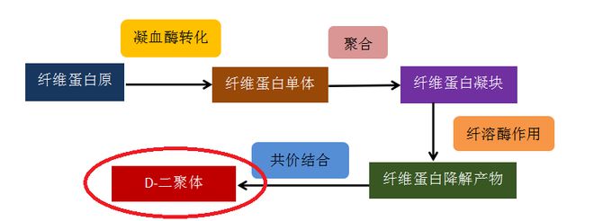 B·sport（中国体育）：大家常查出D-二聚体升高一定就是血栓吗？(图1)