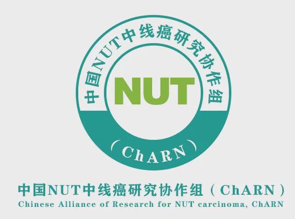 B体育：读书笔记丨胸部肿瘤之NUT中线癌重要临床研究阶段汇总(图5)