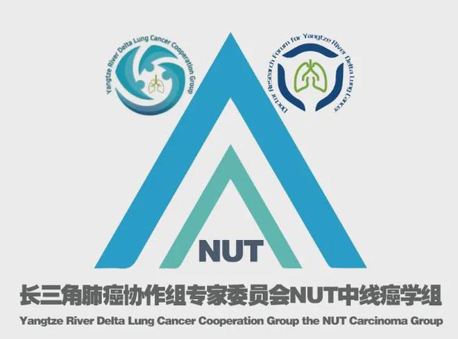 B体育：读书笔记丨胸部肿瘤之NUT中线癌重要临床研究阶段汇总(图4)