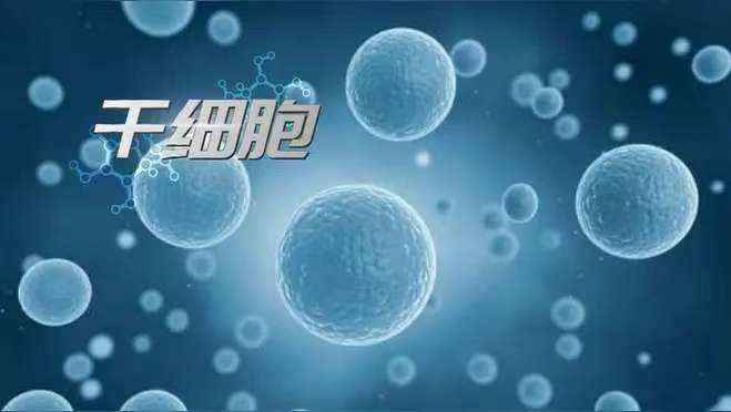 我国首款干细胞治疗药品上市！A股相关概念股梳理。(图1)