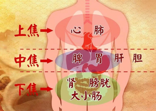 梁世界：掌握“湿毒论”精髓的中医肠胃病大夫(图3)