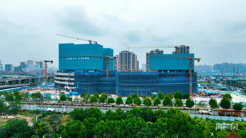 合肥市儿童医院新区项目迎来国际学术观摩(图2)