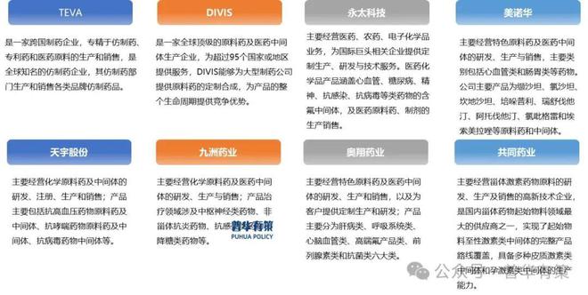 2025-2031年原料药行业市场调研及发展趋势预测报告(图2)