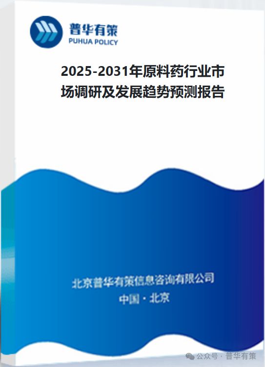 2025-2031年原料药行业市场调研及发展趋势预测报告(图3)