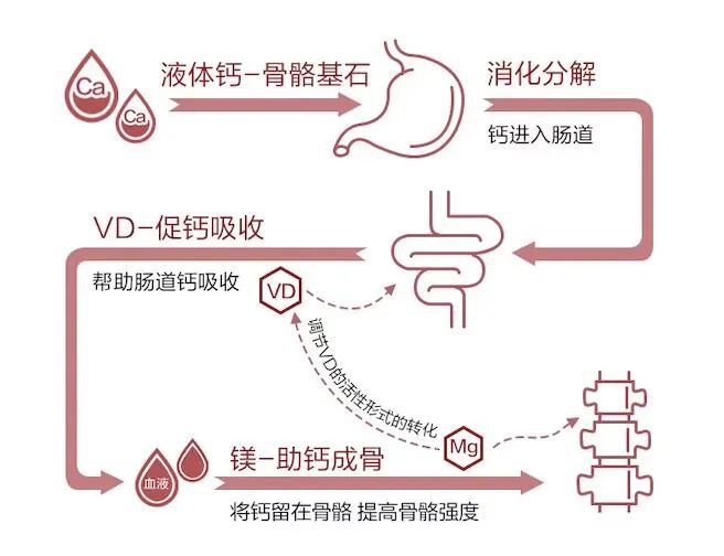 B体育：听说过了40岁很多人都会遇到同一个“坎”(图31)