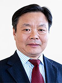 FSHW碳酸酐酶2作为生热活化剂介导红茶的抗肥胖作用(图13)