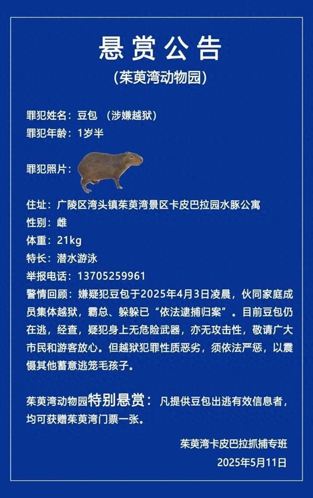 B体育：卡皮巴拉“出逃”40天江苏一动物园发布悬赏公告(图1)