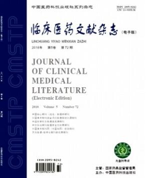 临床医药文献杂志是什么级别刊物(图1)