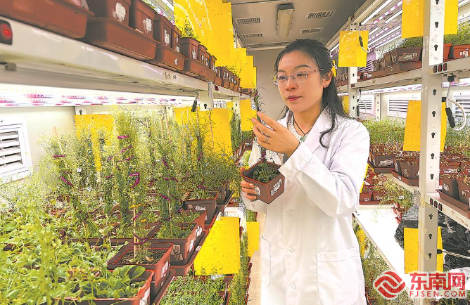 B·sport（中国体育）：党报记者八闽调研行丨福建农林大学这位女教授了不起！(图1)