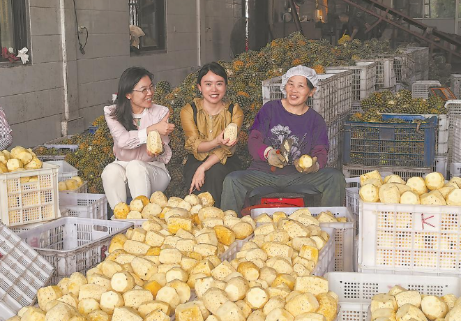 B·sport（中国体育）：党报记者八闽调研行丨福建农林大学这位女教授了不起！(图2)