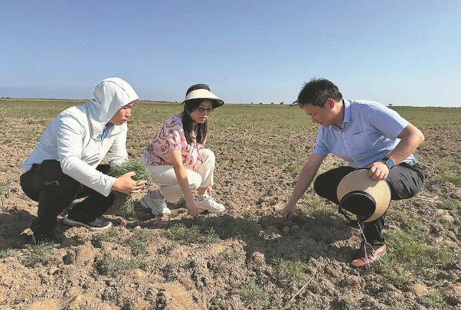 B·sport（中国体育）：党报记者八闽调研行丨福建农林大学这位女教授了不起！(图3)
